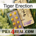 Tiger Erection new06